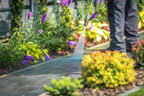 Best Roof Washing  in Hopatcong, NJ
